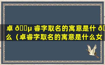 卓 🌵 睿字取名的寓意是什 🌸 么（卓睿字取名的寓意是什么女孩）